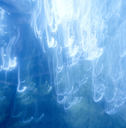 hitreelightblueflash37886-11.jpg